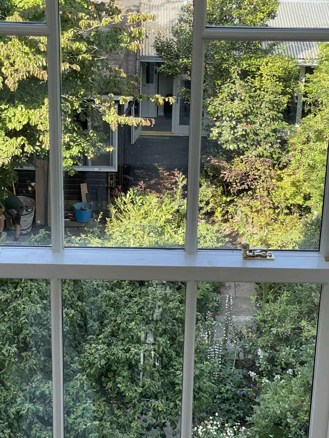 A green London garden seen through the panes of a sash window from inside the house