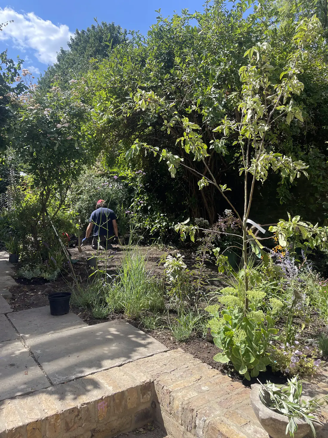 A newly planted London border being worked on, with stone paving in the foreground